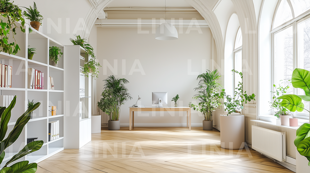 Zoom Office Background