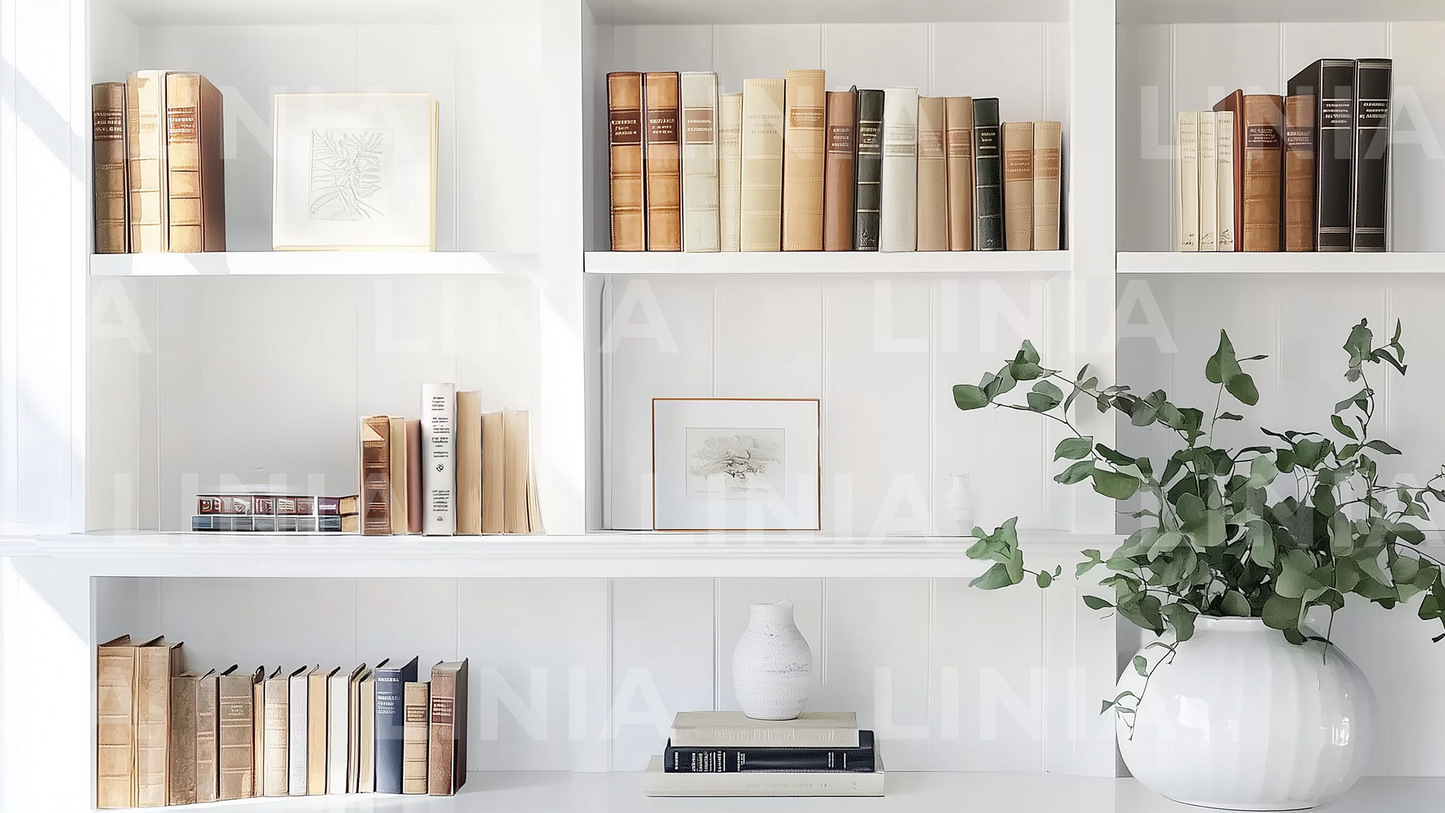 Google Meet Professional Background