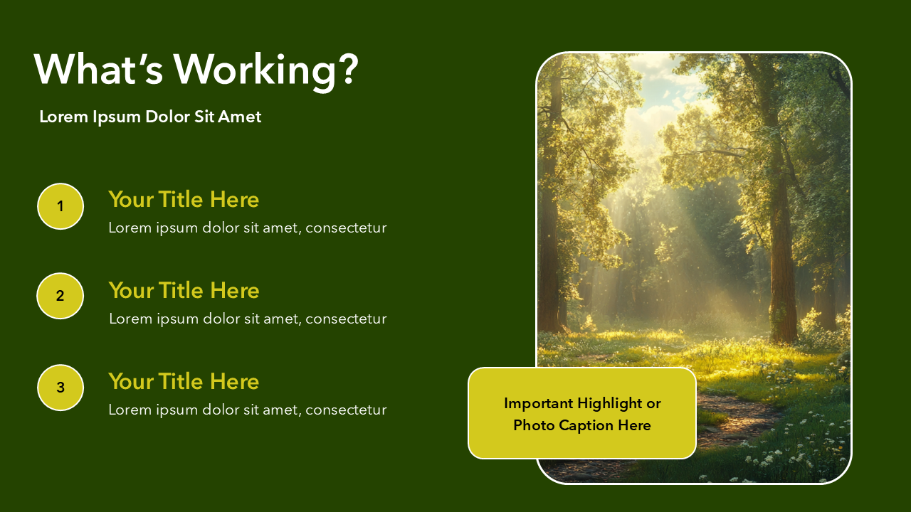 Lesson Learned PPT Template