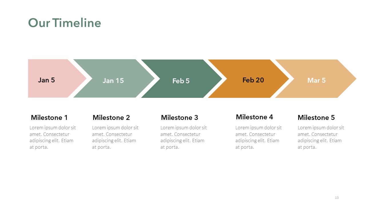 Software Services PPT