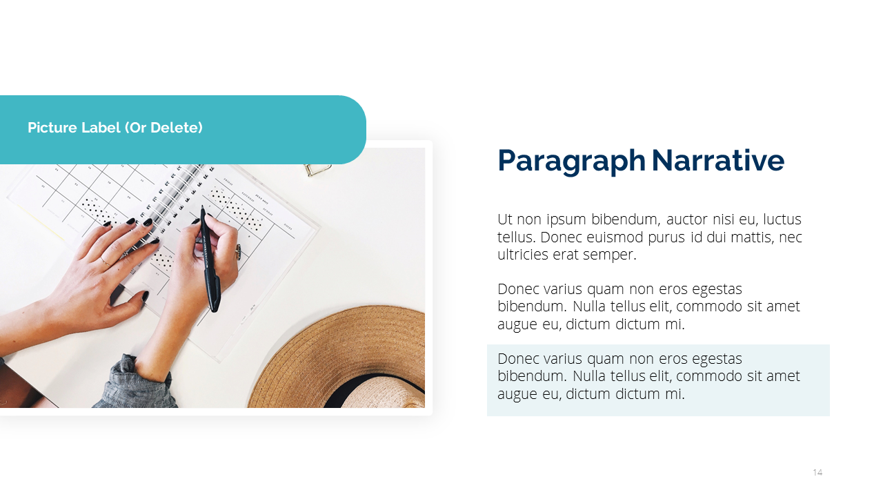 Project Status Report PPT