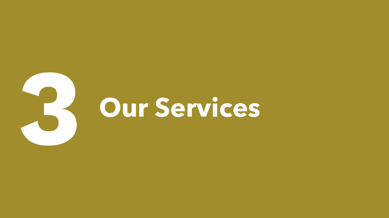 Business History & Overview Presentation