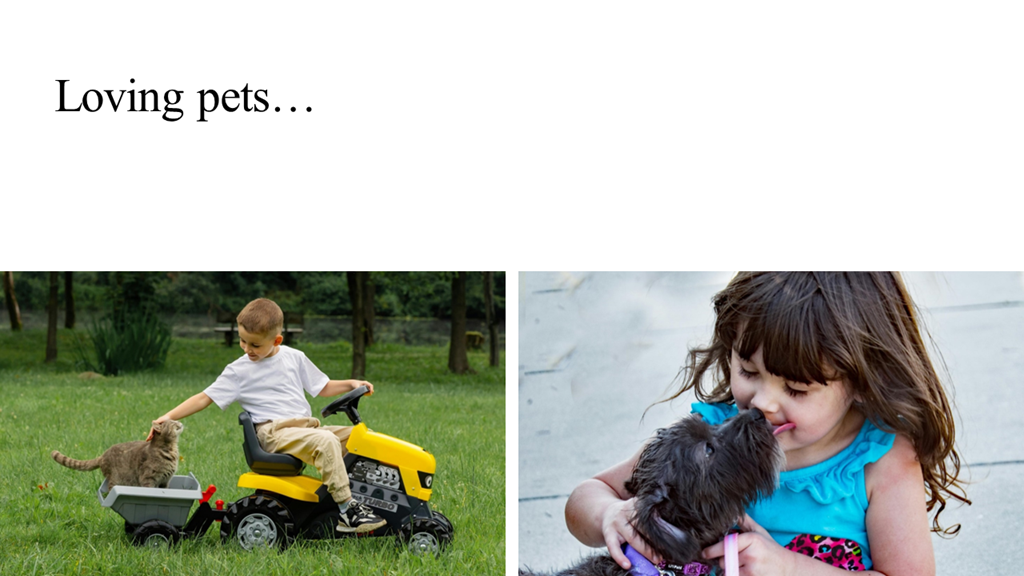 Wedding Slideshow Template PPT