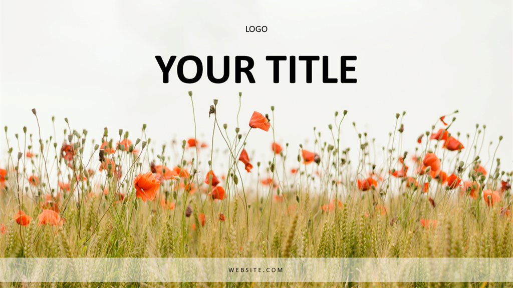 Nature and Retreat Presentation