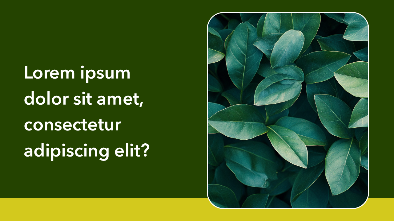 Lesson Learned PPT Template