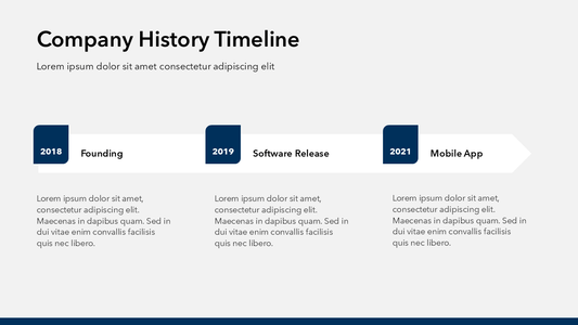 Company History PPT