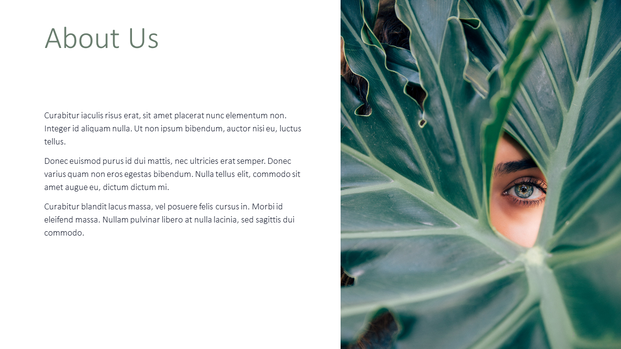 Beauty Products PPT Template