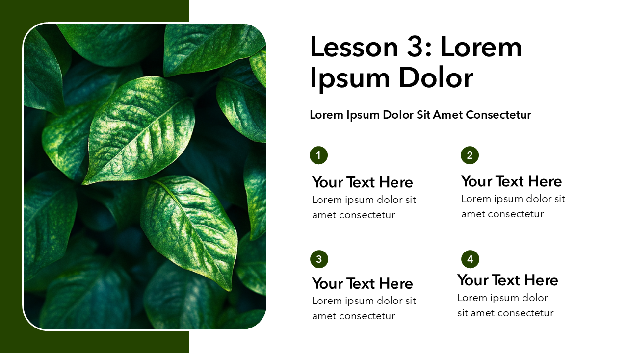 Lesson Learned PPT Template