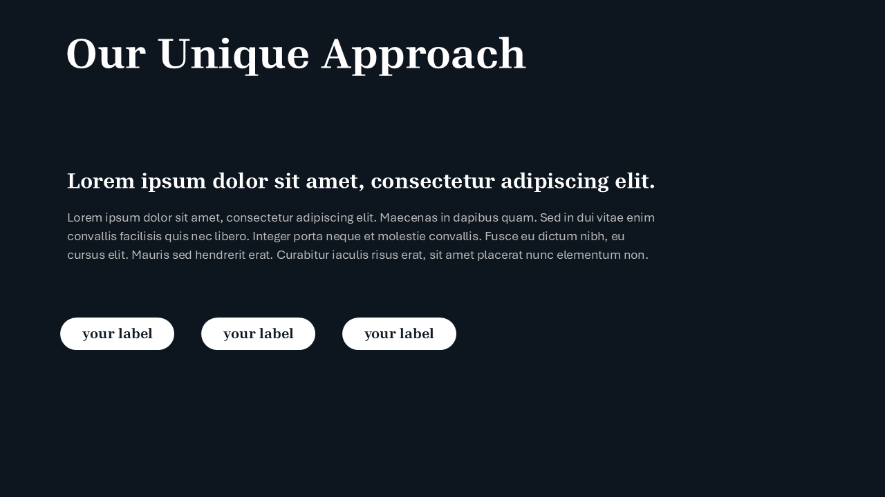 Black PPT Template