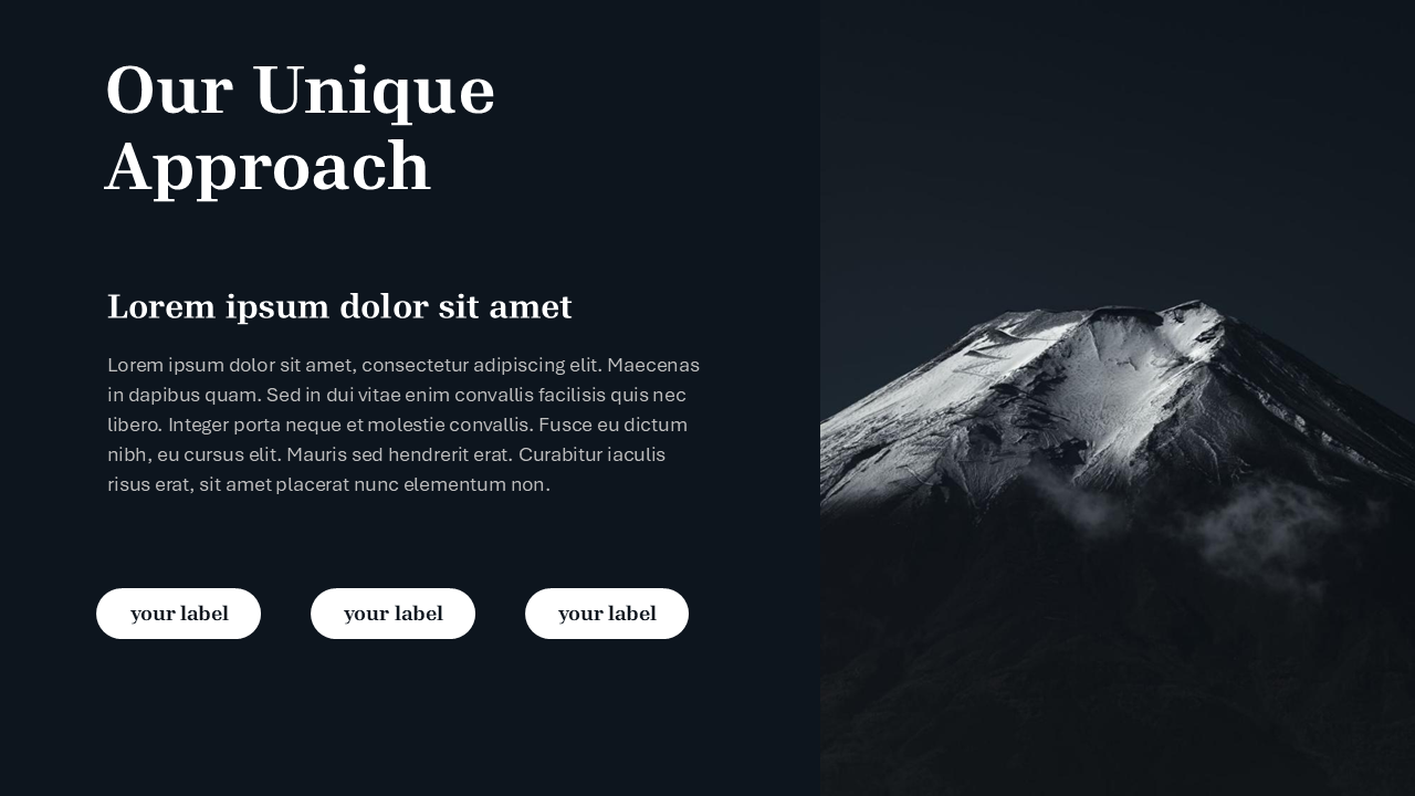 Black PPT Template