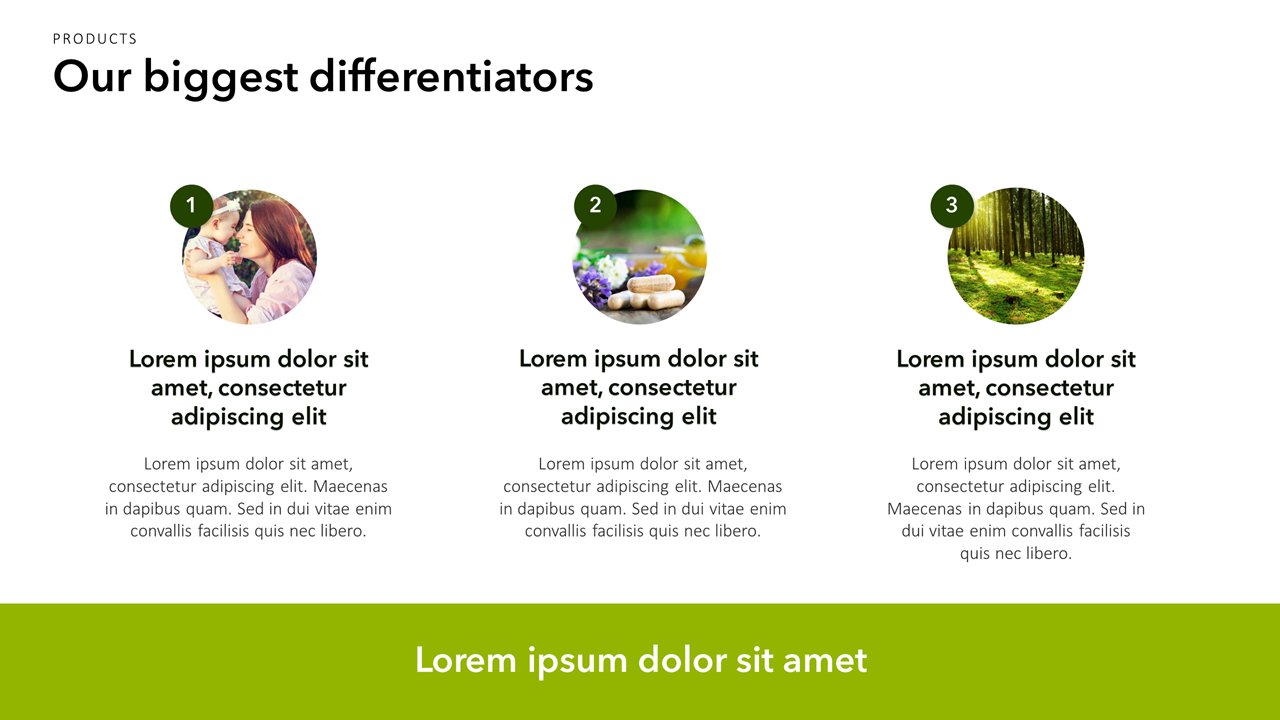 Sustainability Presentation Template
