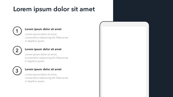 Presentation with Screenshot | PowerPoint or Google Slides