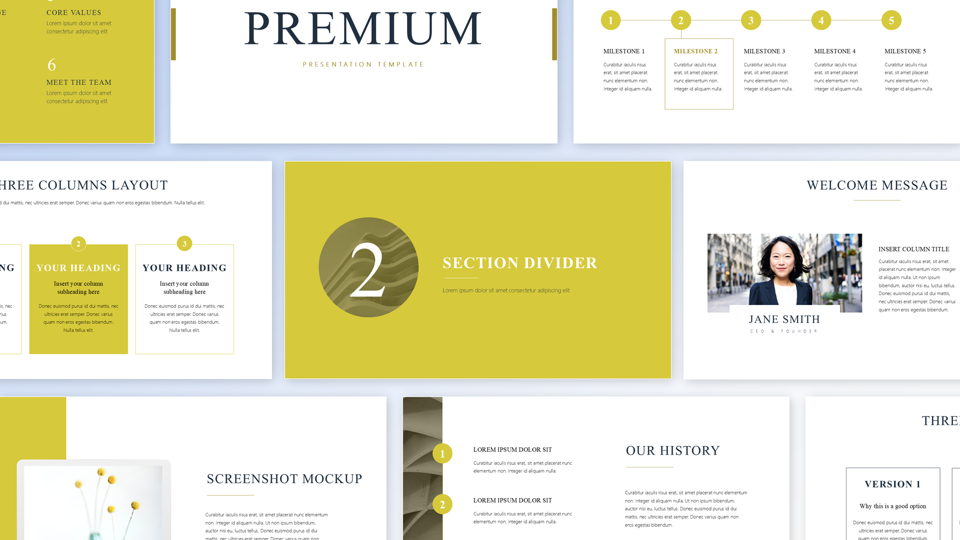 Premium Powerpoint Template