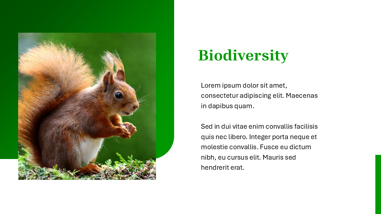 Nature PowerPoint Template