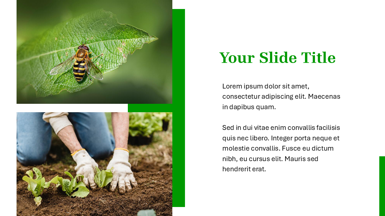 Nature PowerPoint Template