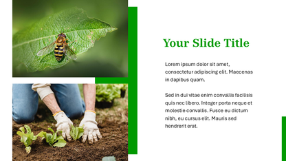 Nature PowerPoint Template