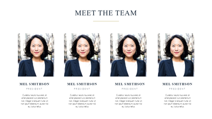 Premium Powerpoint Template