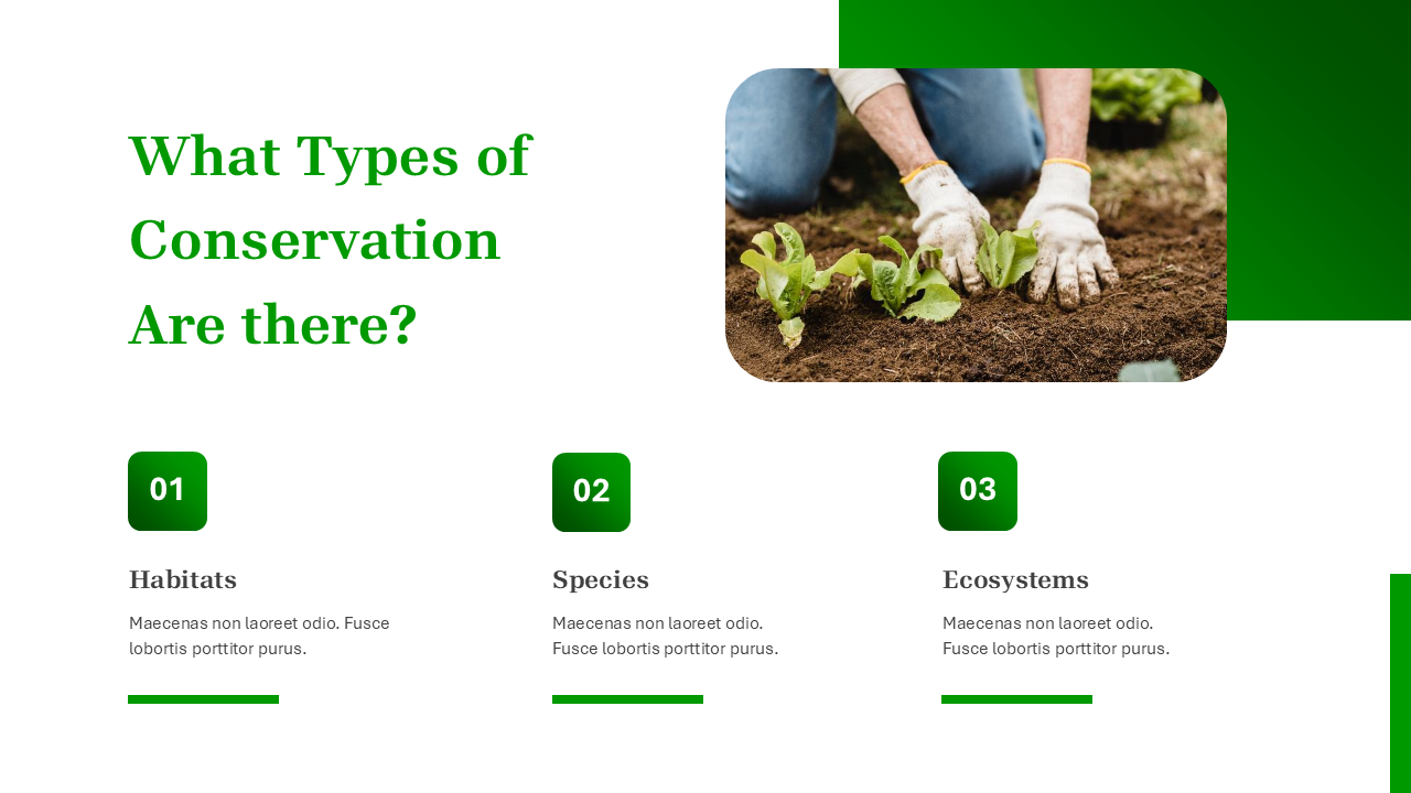Nature PowerPoint Template