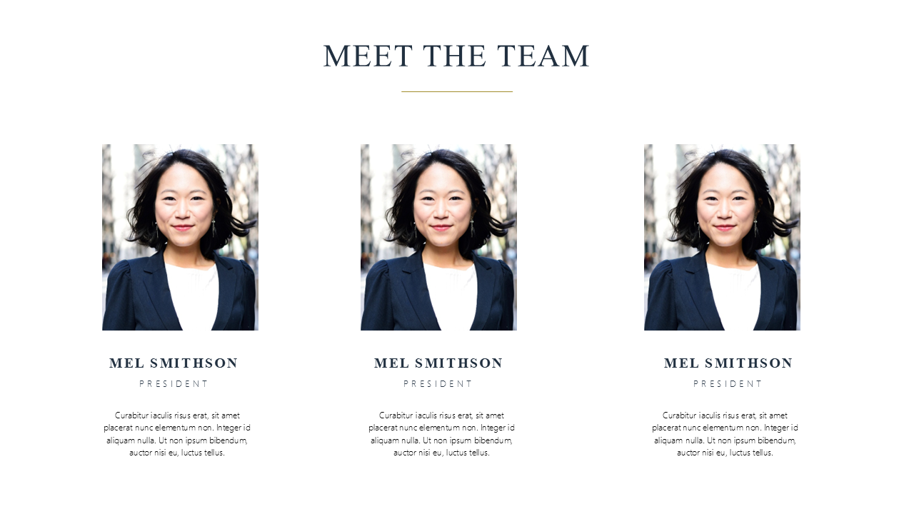 Premium Powerpoint Template