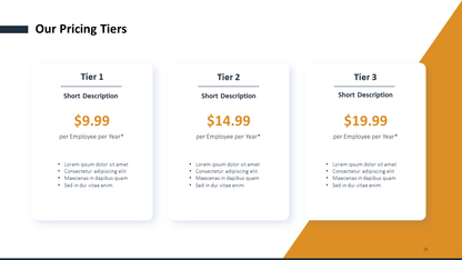 Project Presentation Template