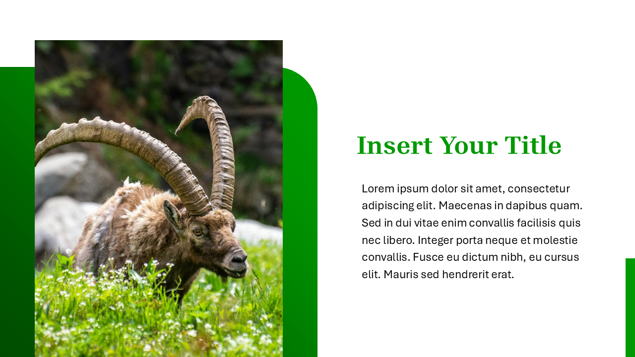 Nature PowerPoint Template