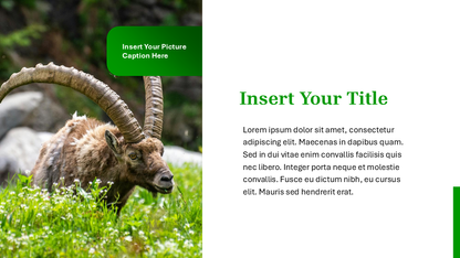 Nature PowerPoint Template