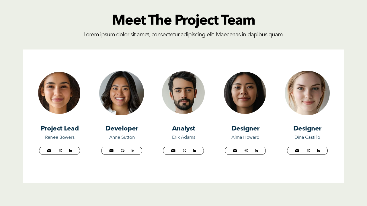 Project Team Slide
