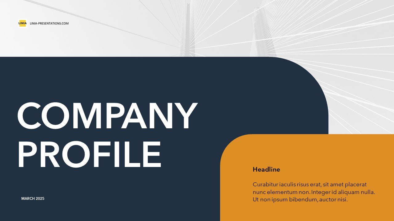 Company Profile PPT Template