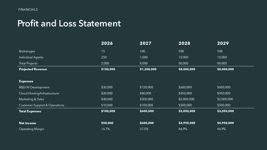Profit and Loss Statement Template