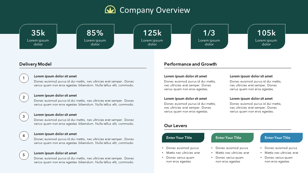 Simple Overview Slide Examples Company Overview Slides | PowerPoint | Google Slides