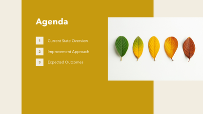 Agenda for Powerpoint