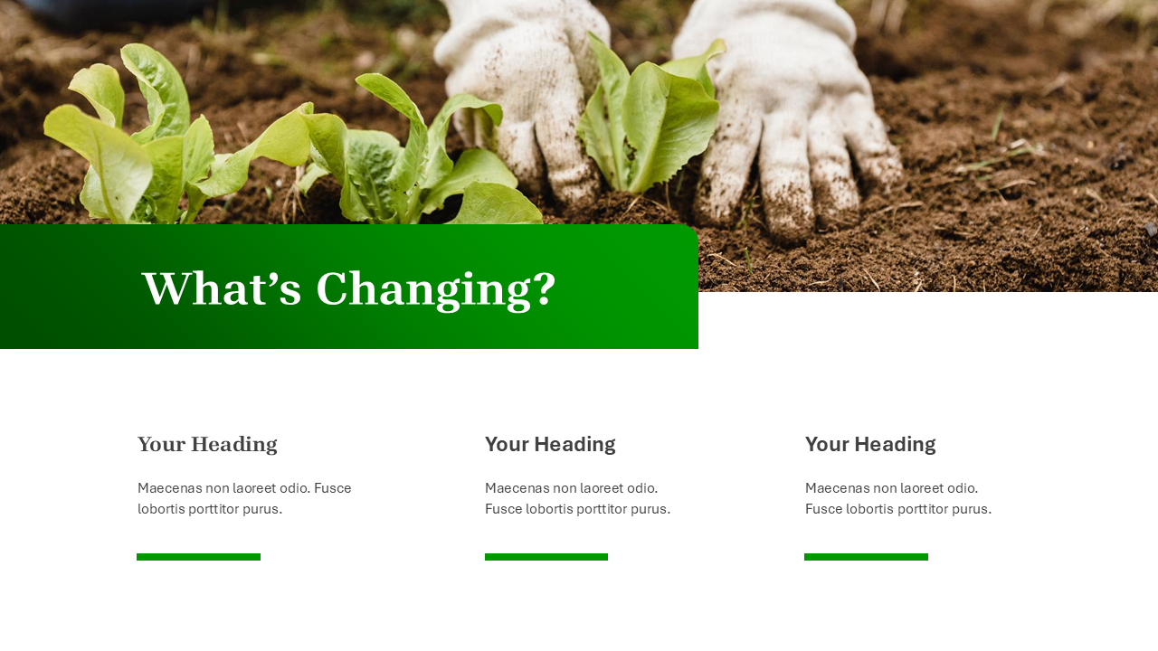 Nature PowerPoint Template