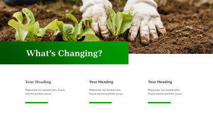 Nature PowerPoint Template