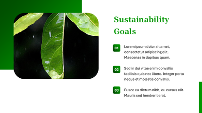 Nature PowerPoint Template