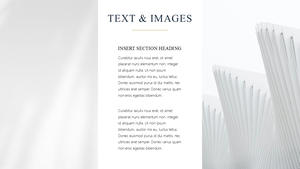 Premium Powerpoint Template