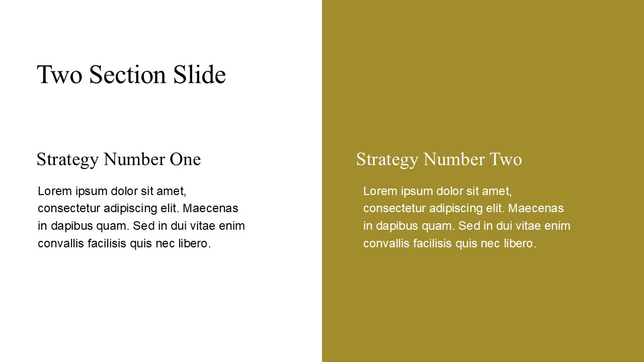 Professional PowerPoint Template