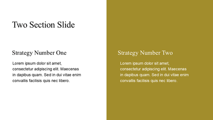 Professional PowerPoint Template