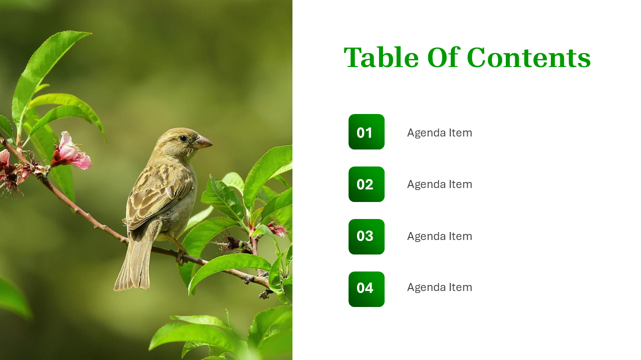 Nature PowerPoint Template
