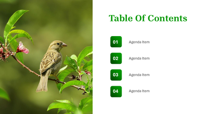 Nature PowerPoint Template