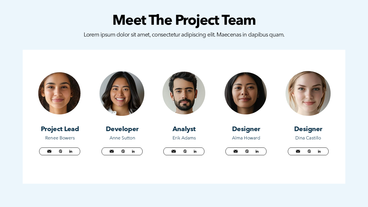 Project Team Slide