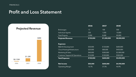 Profit and Loss Statement Template