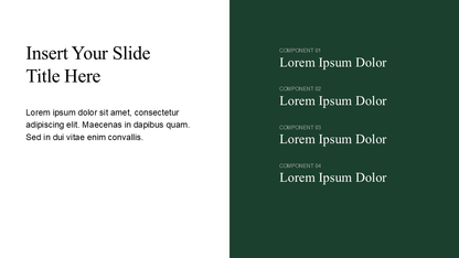 Professional PowerPoint Template