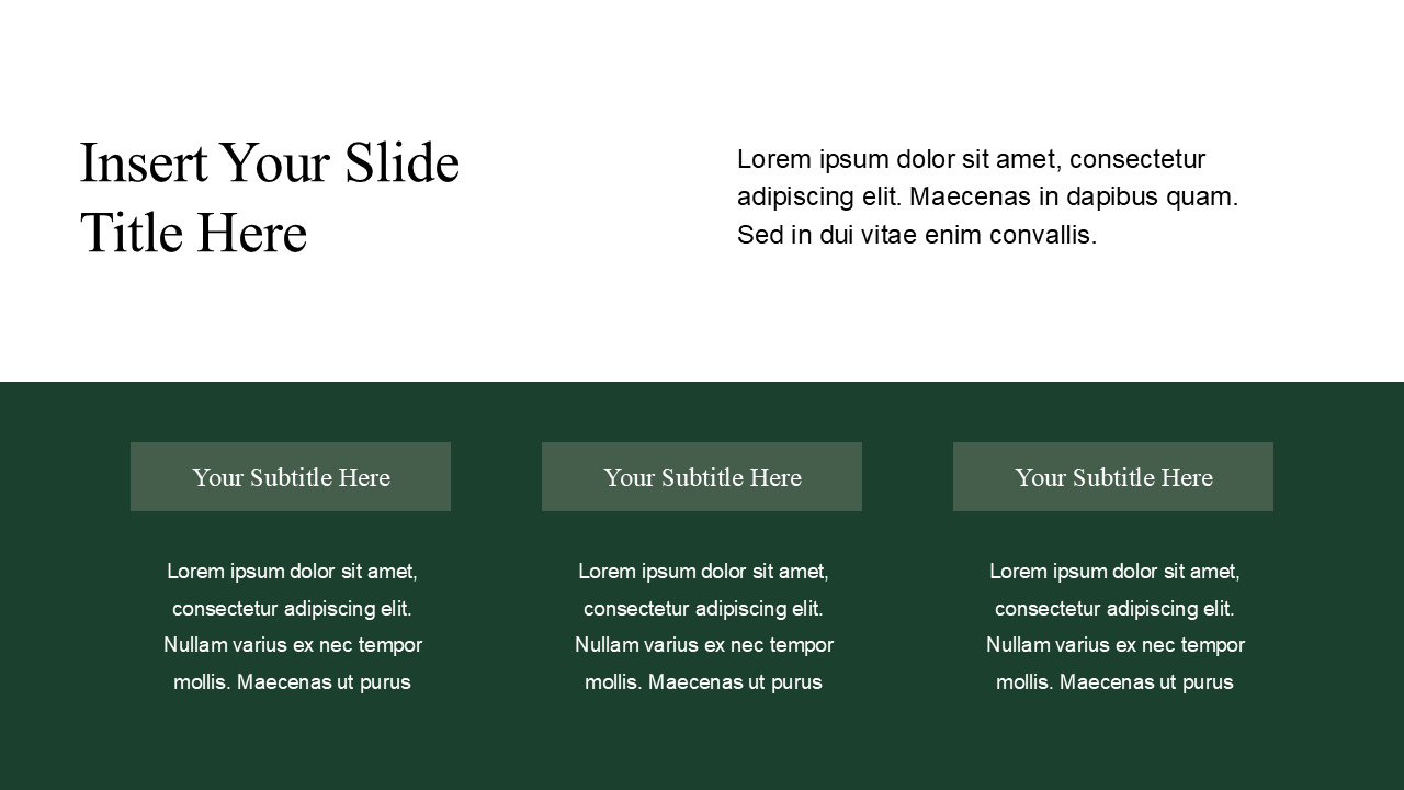 Professional PowerPoint Template
