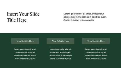 Professional PowerPoint Template