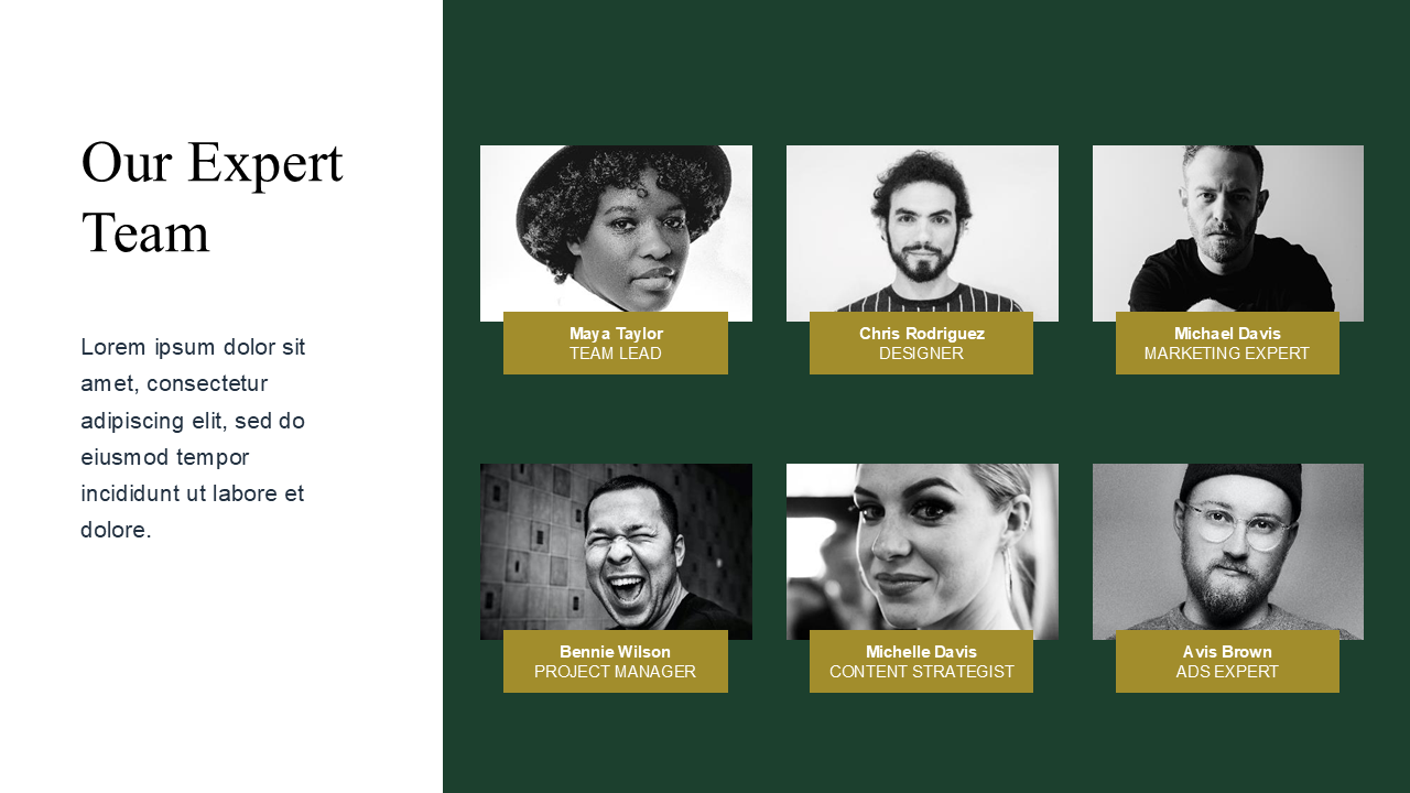 Professional PowerPoint Template