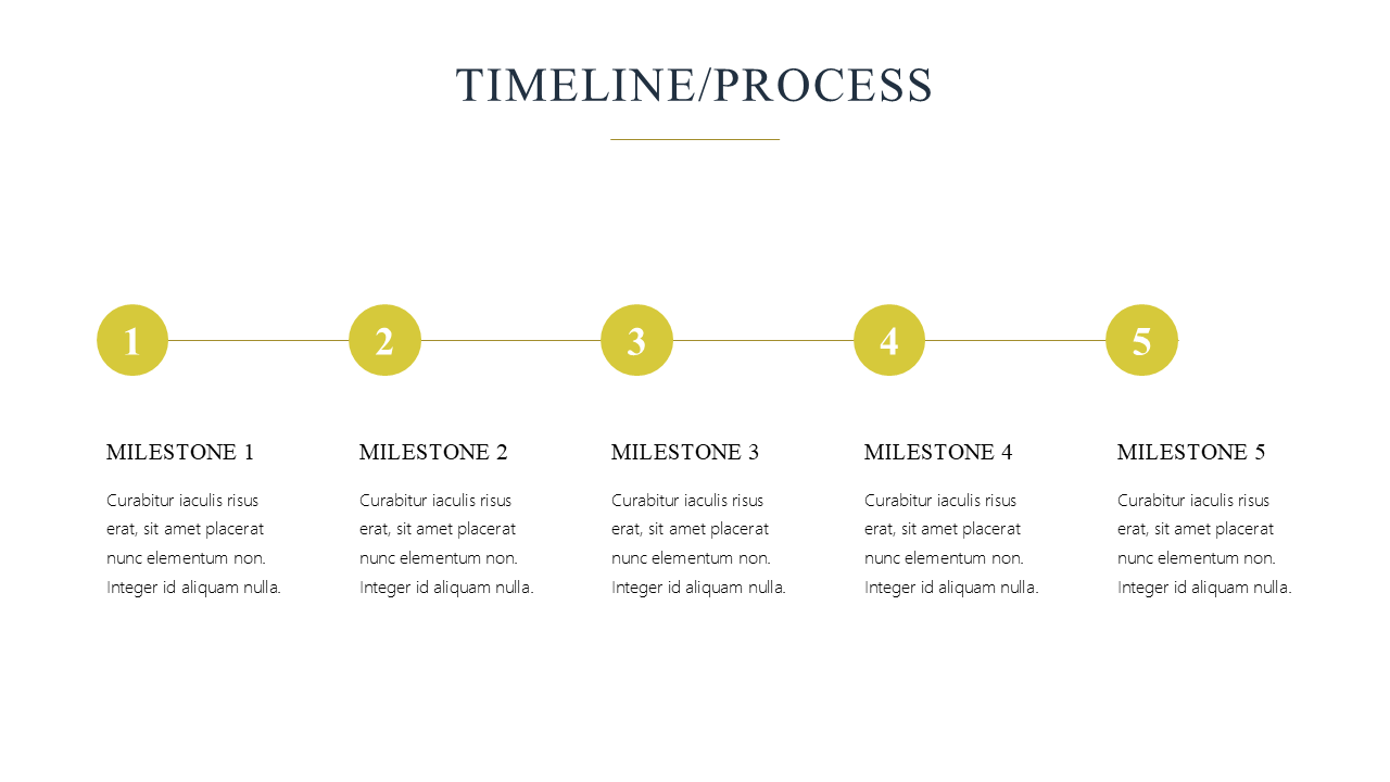 Premium Powerpoint Template