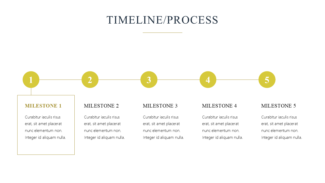 Premium Powerpoint Template