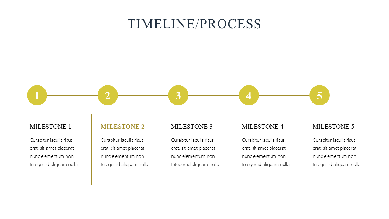 Premium Powerpoint Template