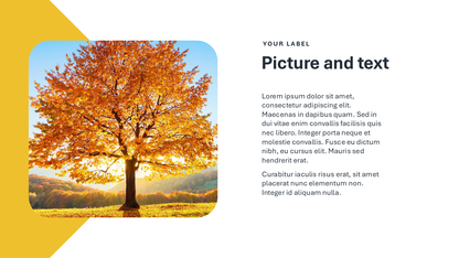 Fall Colors Pitch Deck Template