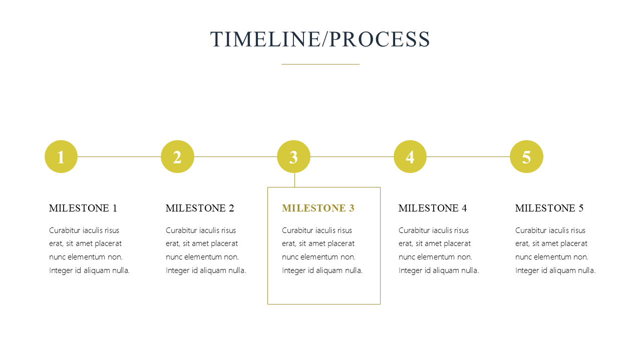 Premium Powerpoint Template